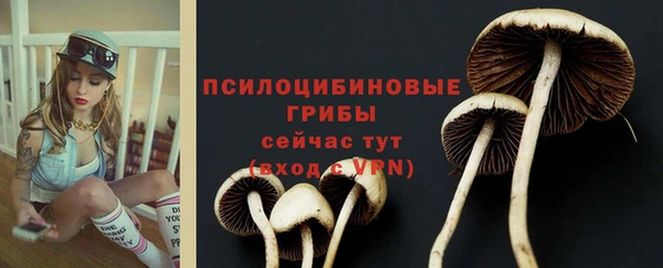 синтетический гашиш Балахна
