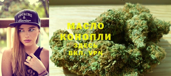 мдпв Осташков