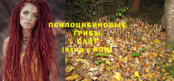 герыч Осинники